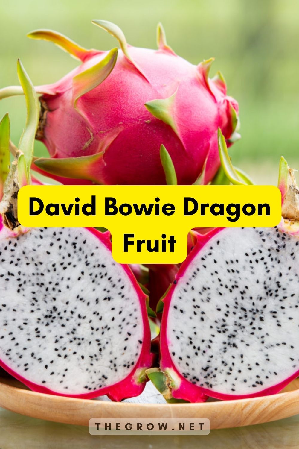 David Bowie Dragon Fruit