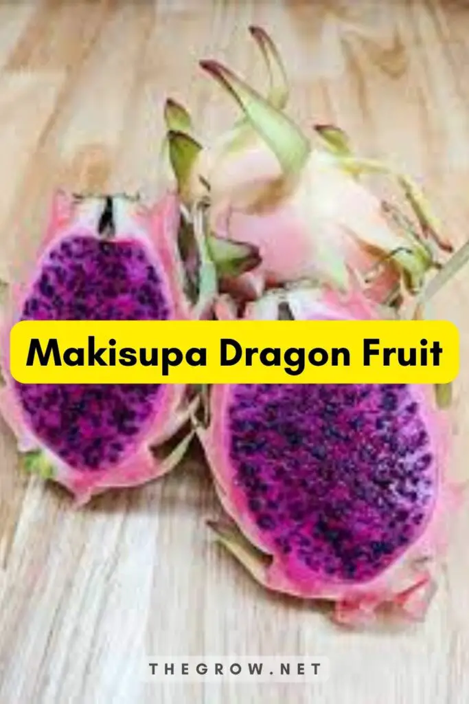 Makisupa Dragon Fruit