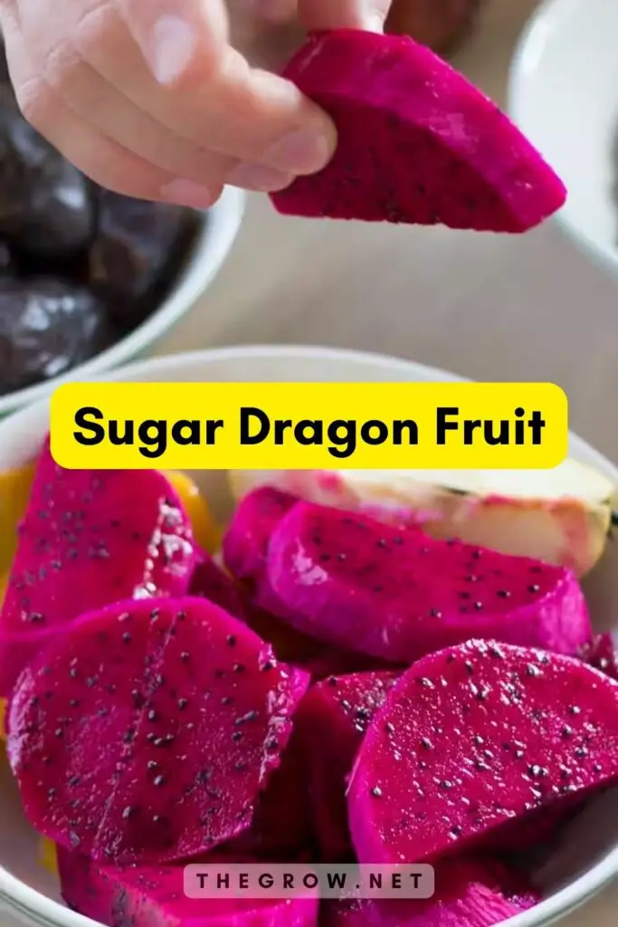 Sugar Dragon Fruit