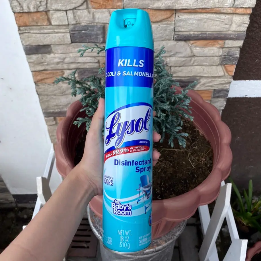 Can You Spray Lysol on Plants? 