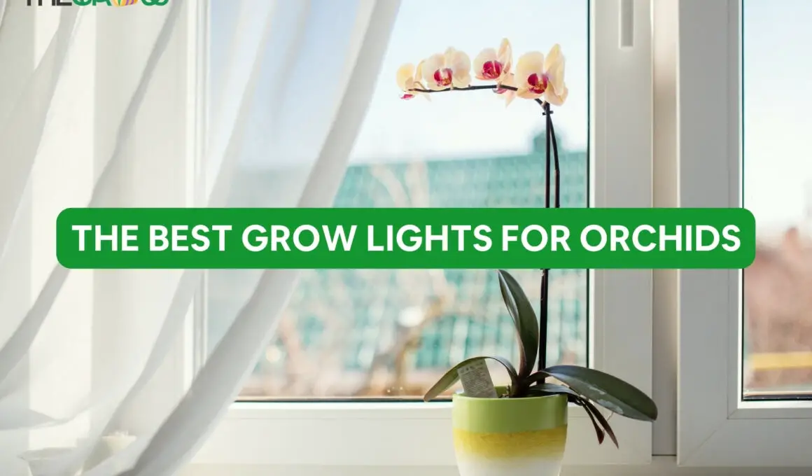 The Best Grow Lights For Orchids
