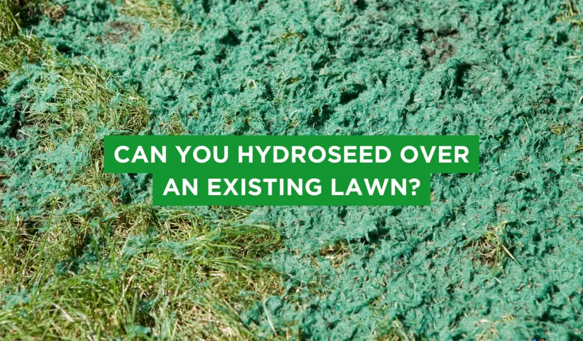Can You Hydroseed Over An Existing Lawn