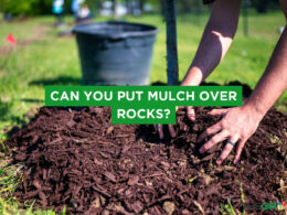 How to Effectively Put Mulch Over Rocks