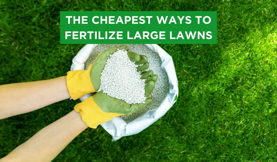10 Cheapest Ways To Fertilize Large Lawns
