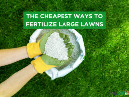 10 Cheapest Ways To Fertilize Large Lawns