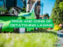 Pros And Cons Of Detatching Lawns