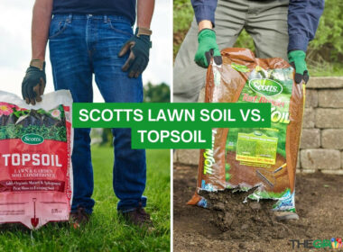 Scotts Lawn Soil vs. Topsoil: Choosing the Best Soil for Your Garden