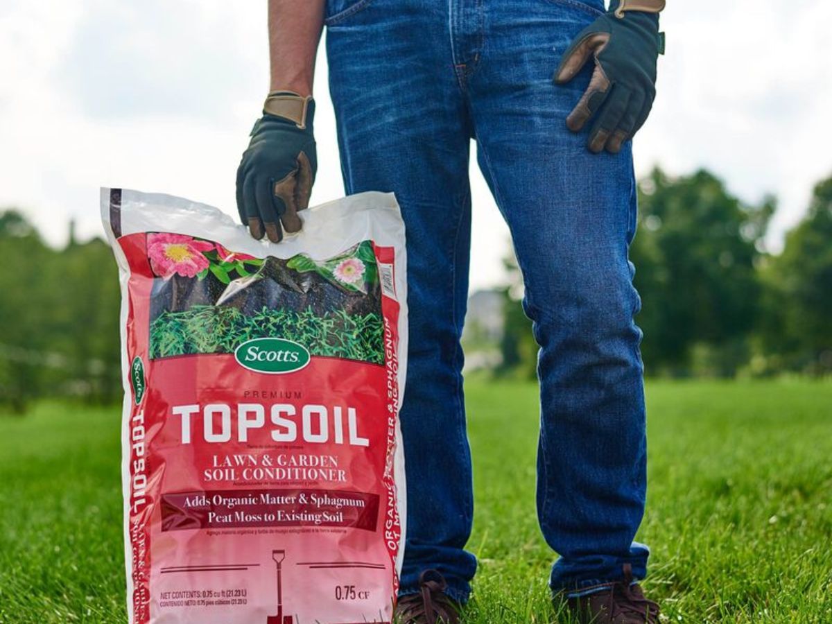 The Basics of Topsoil