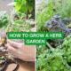 How to Grow a Herb Garden