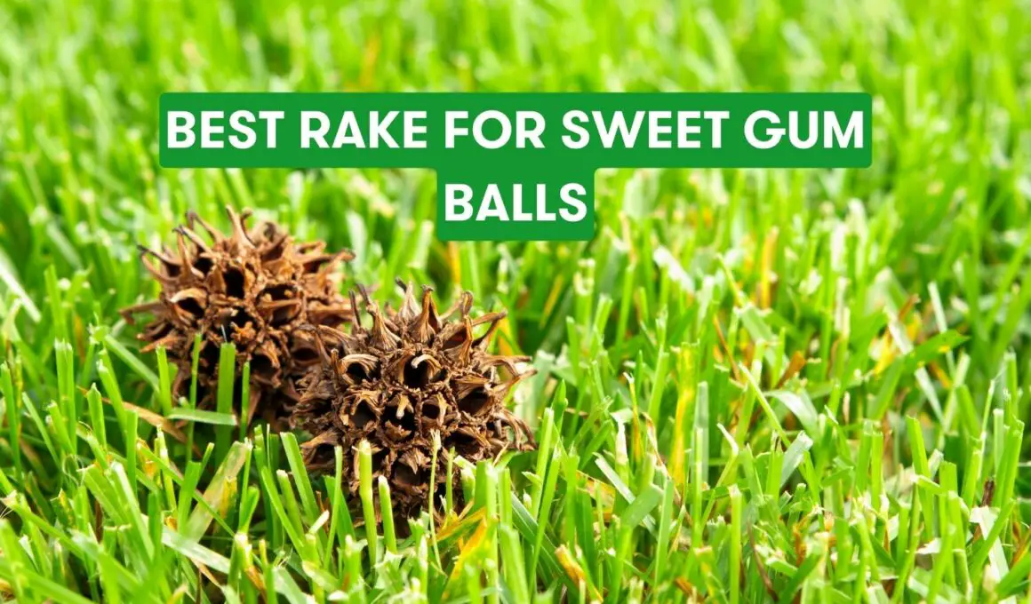 Best Rake For Sweet Gum Balls