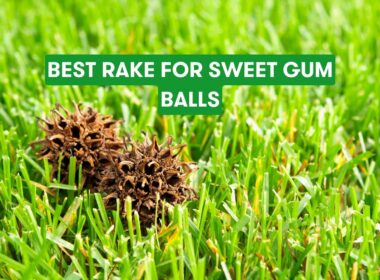 Best Rake For Sweet Gum Balls