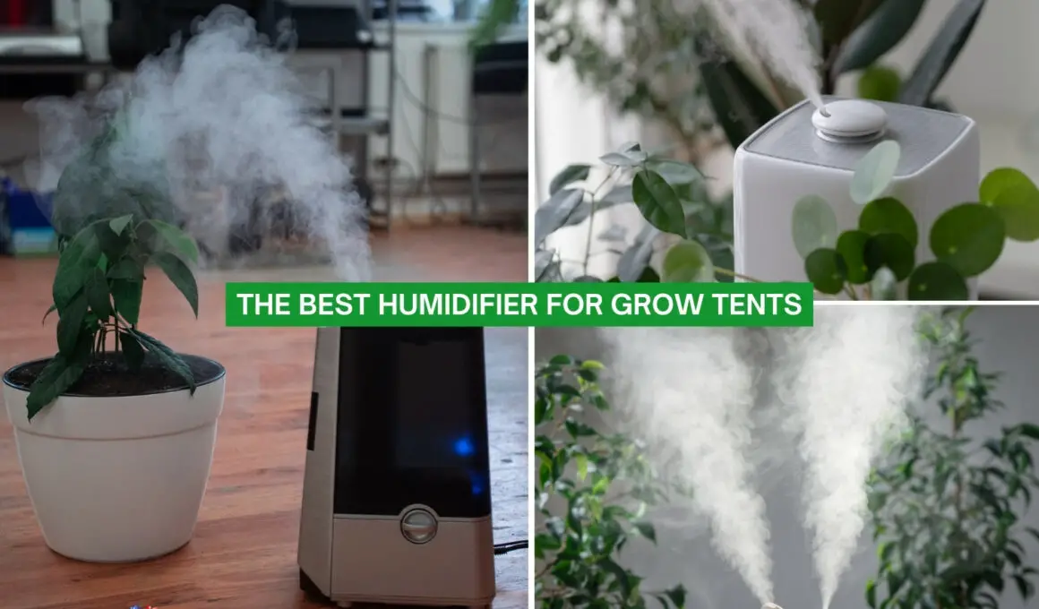 We Tested The Best Humidifier for Grow Tents (2024)
