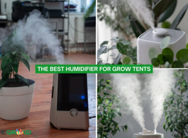 We Tested The Best Humidifier for Grow Tents (2024)