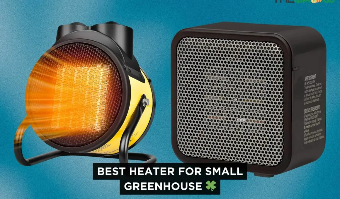 Best Heater for Small Greenhouse