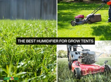 Best Lawn Mowers For Bermuda Grass
