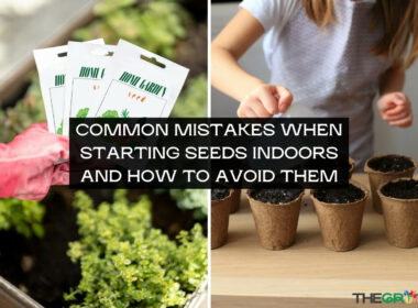 Common Mistakes When Starting Seeds Indoors and How to Avoid Them