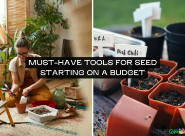 Must-Have Tools for Seed Starting on a Budget