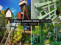 Small Garden Ideas You Can Copy Today