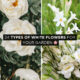 Types of White Flowers For Your Garden