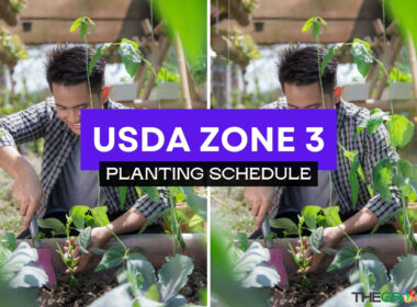 Zone 3 Planting Schedule For 2024