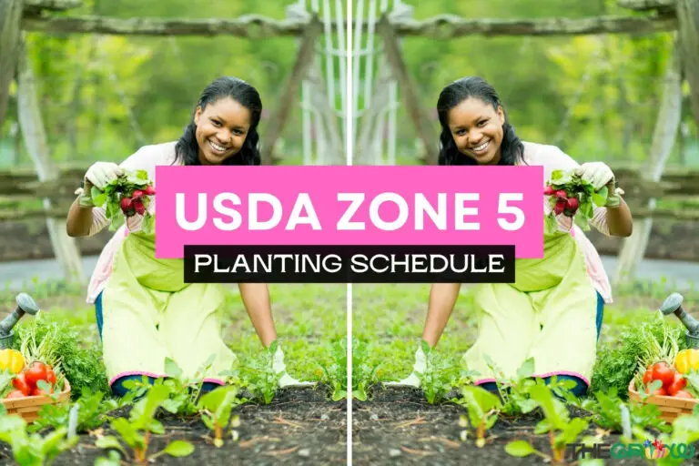 Zone 5 Planting Schedule For 2024