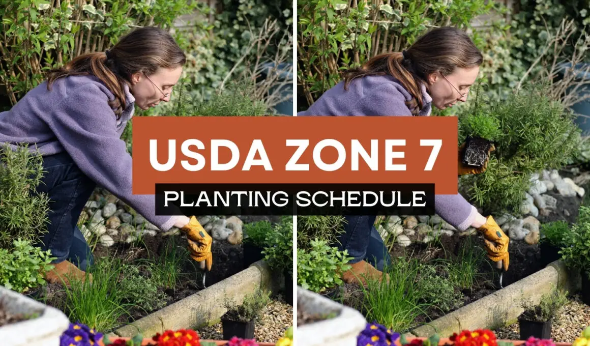 USDA zone 7 planting schedule