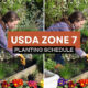 USDA zone 7 planting schedule