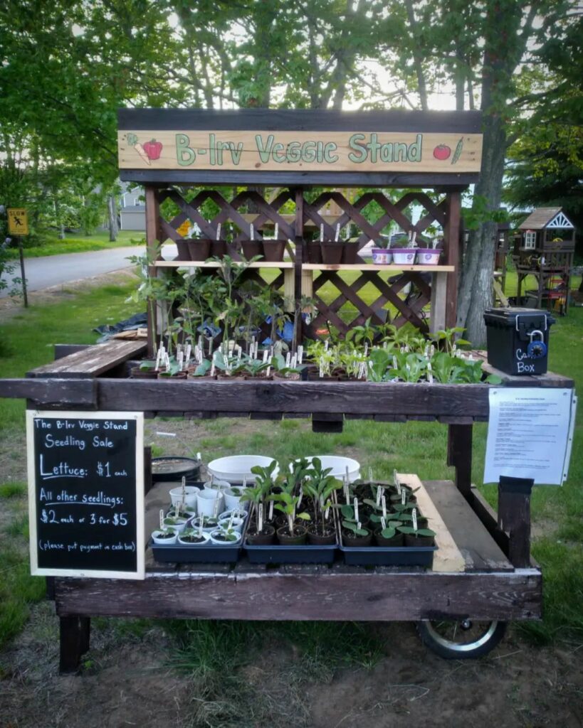 Veggie Roadside Stall