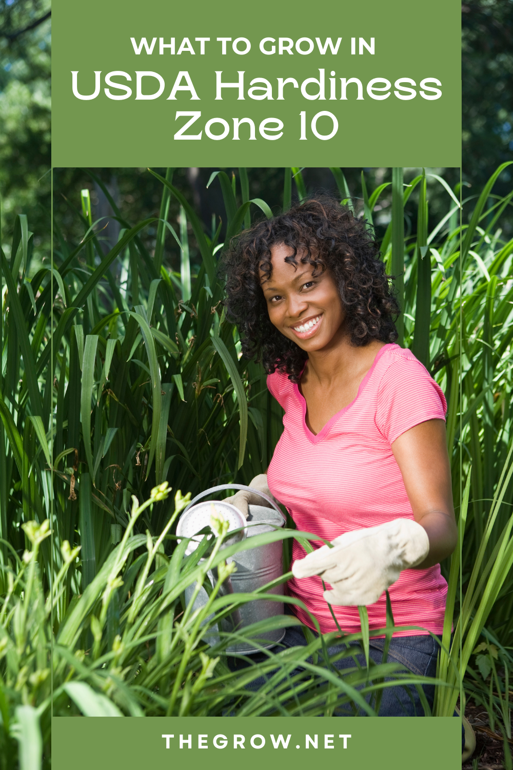 Zone 10 Planting Schedule