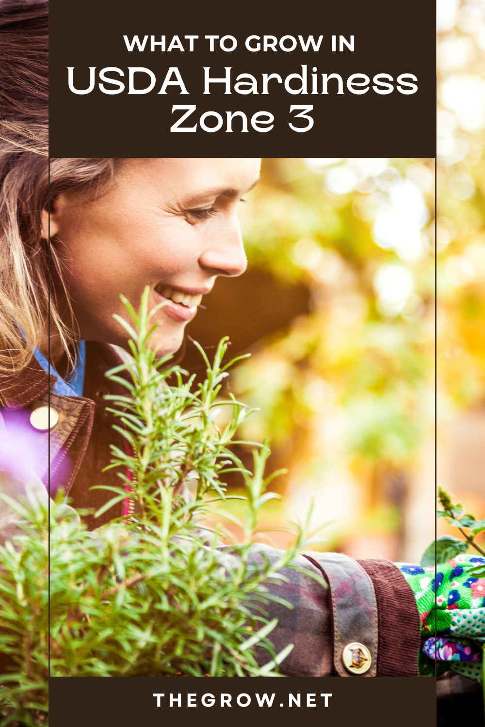 Zone 3 Planting Schedule