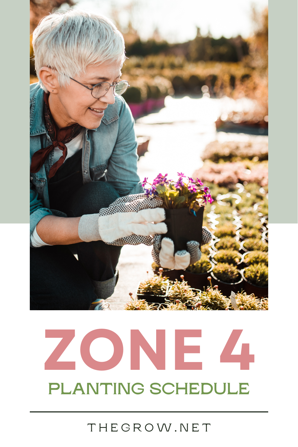 Zone 4 Planting Schedule