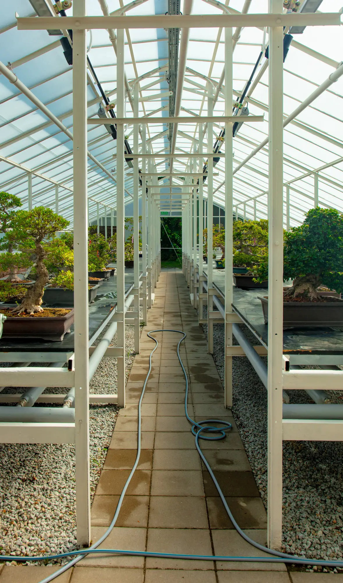 Choosing the Right Greenhouse Structure