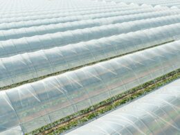 Will a Plastic Greenhouse Protect From Frost?