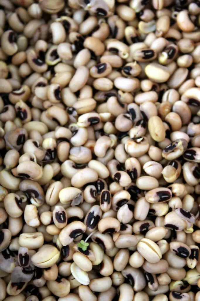 high-quality black beans