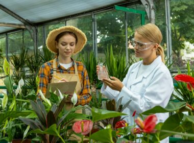 Do You Need A Permit For A Greenhouse?