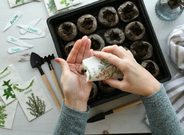 When to Start Seeds Indoors