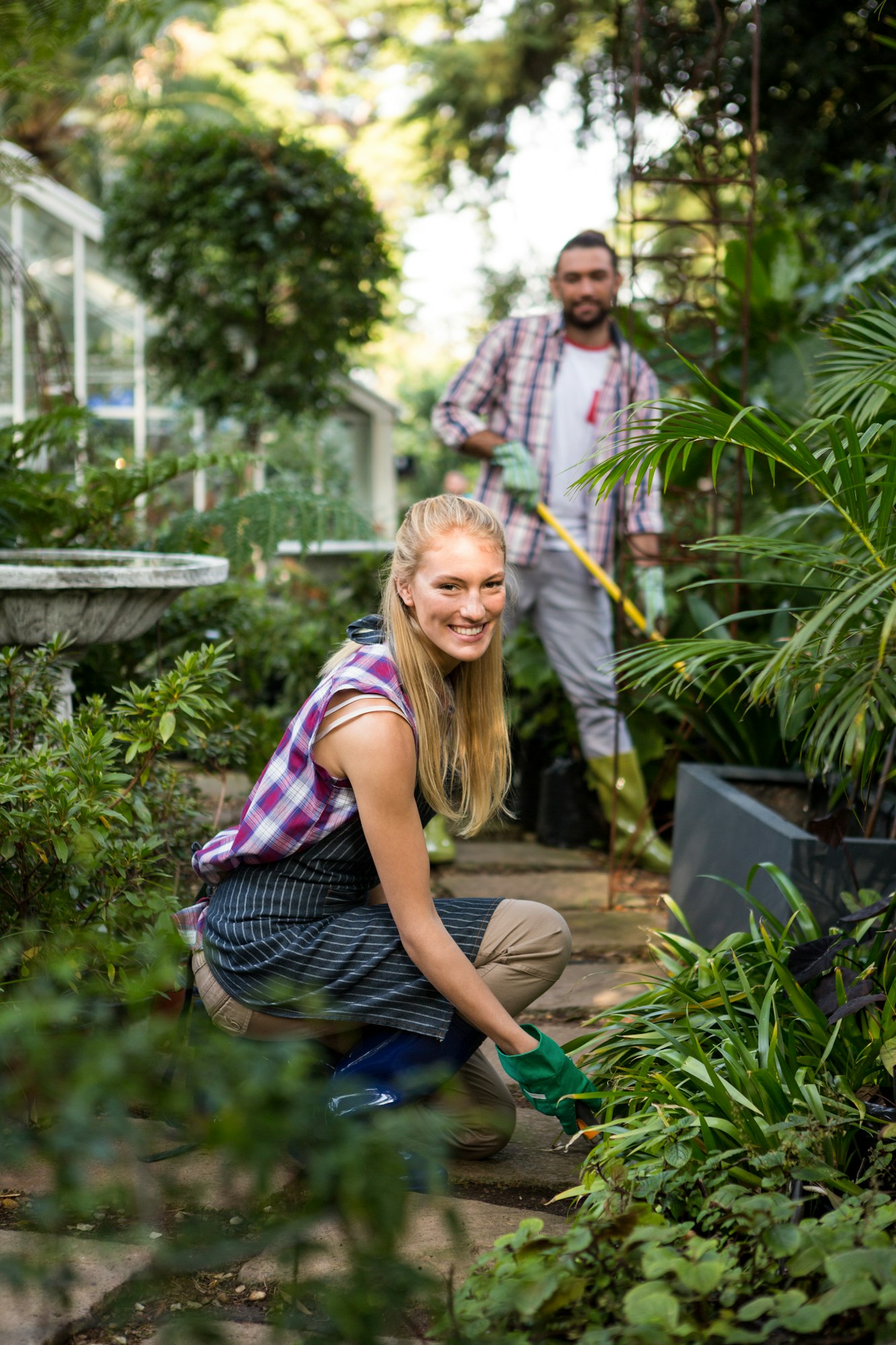 Monthly Maintenance Tips for Zone 10 Gardens