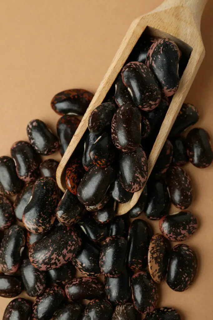 Steps to Sprout Black Beans