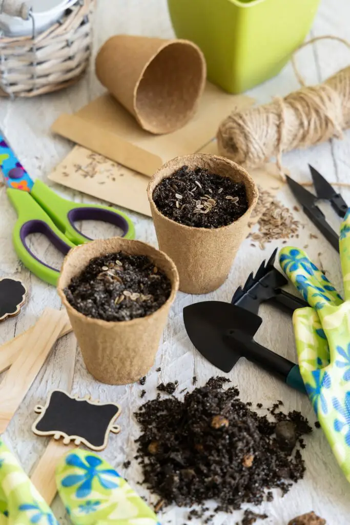 Essential Supplies for Starting Seeds Indoors