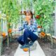 Can You Grow Tomatoes In A Greenhouse