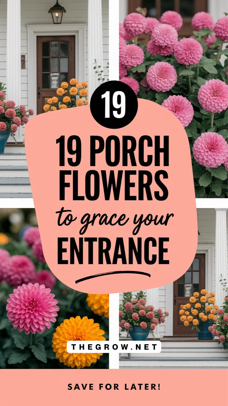 Porch Flowers to Grace Your Entrance-pin