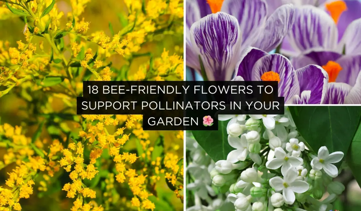 Bee-Friendly Flowers to Support Pollinators in Your Garden