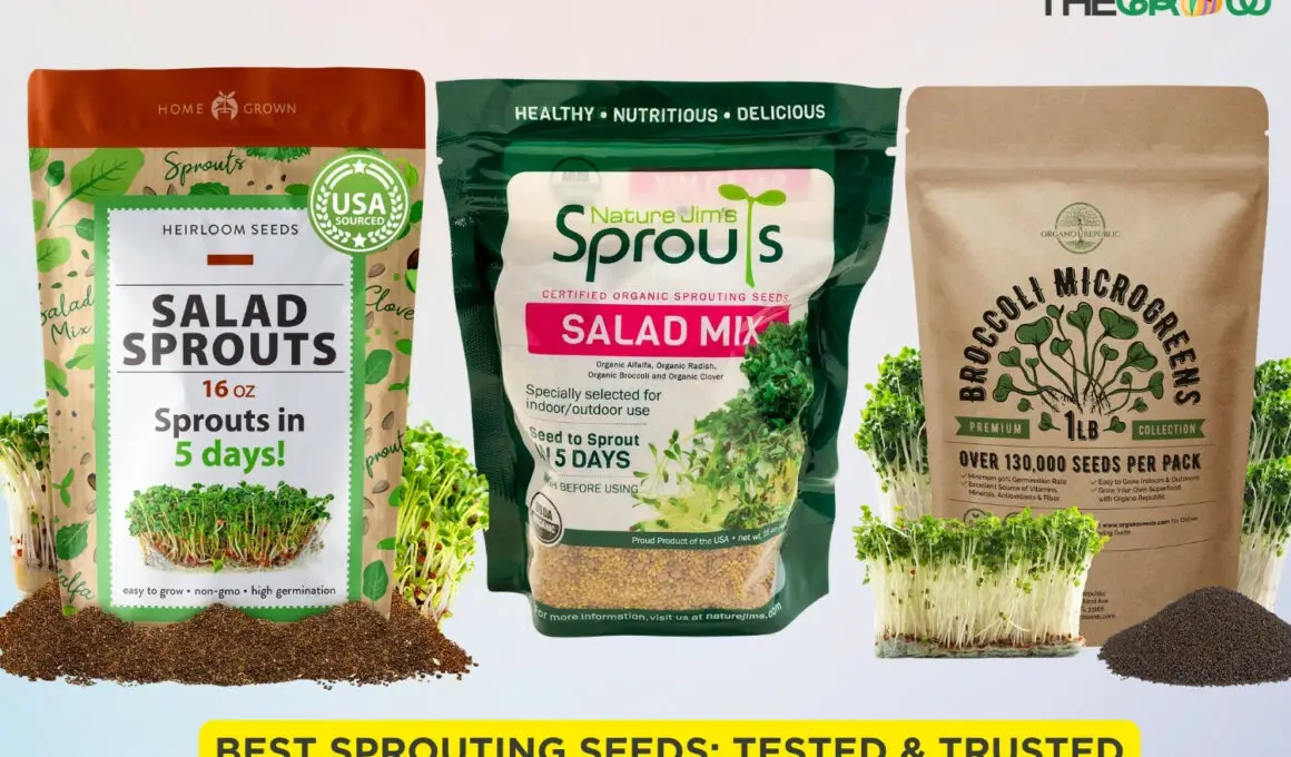 Best Sprouting Seeds