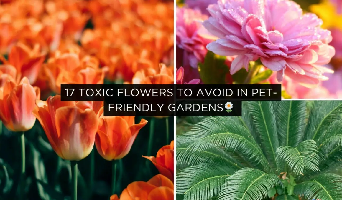Toxic Flowers to Avoid in Pet-Friendly Gardens