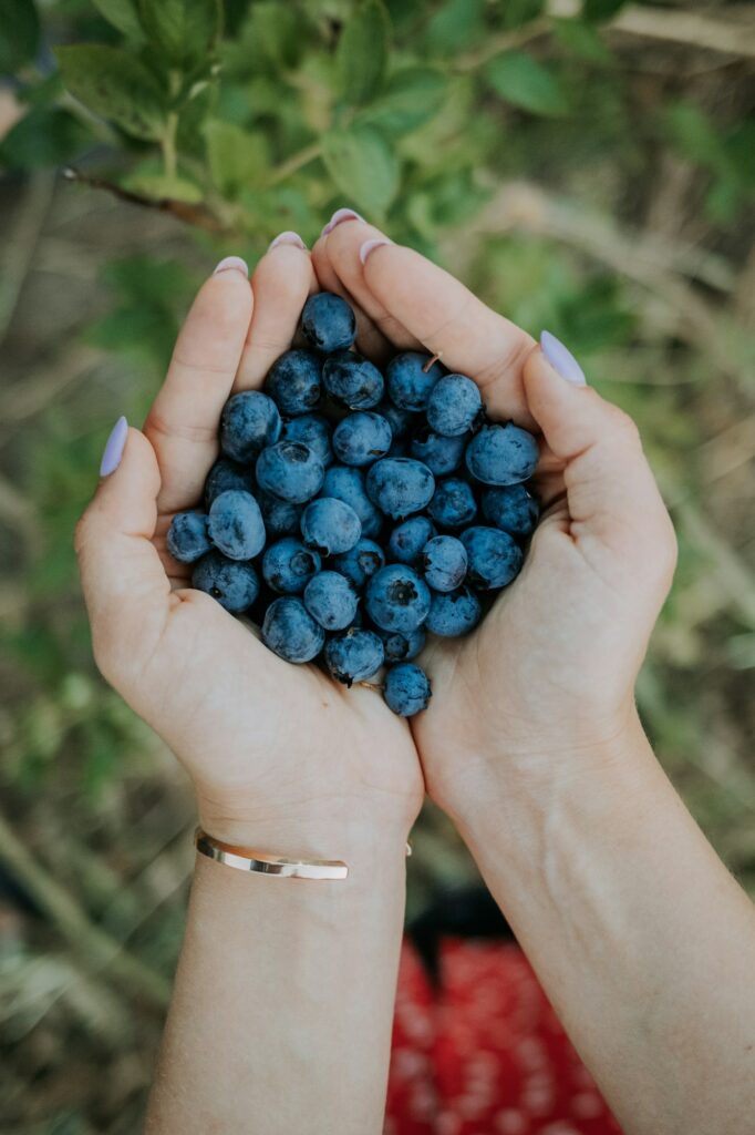 Post-Harvest and Dormancy