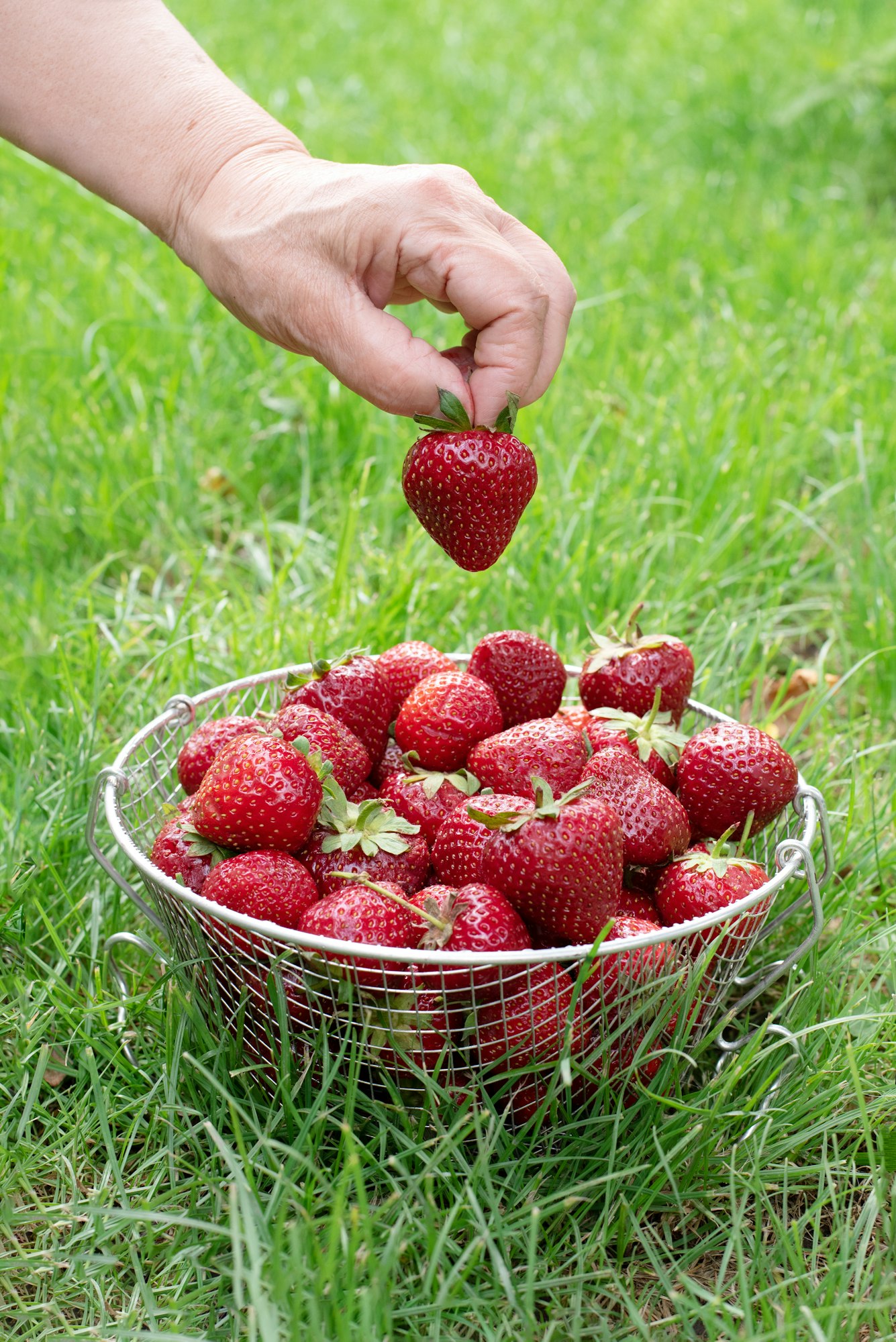 Harvesting 