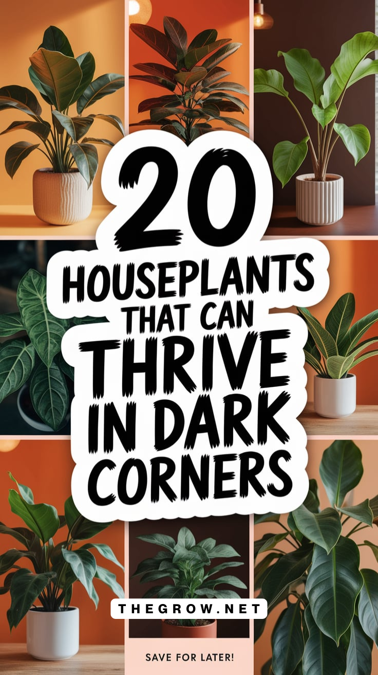 Houseplants That Can Thrive in Dark Corners-pin