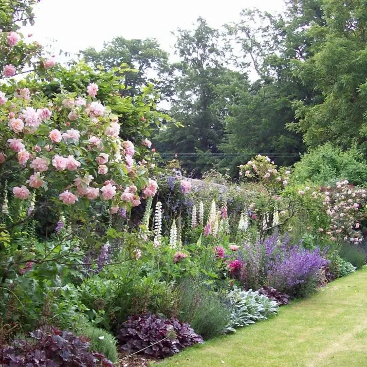 Angled English Garden