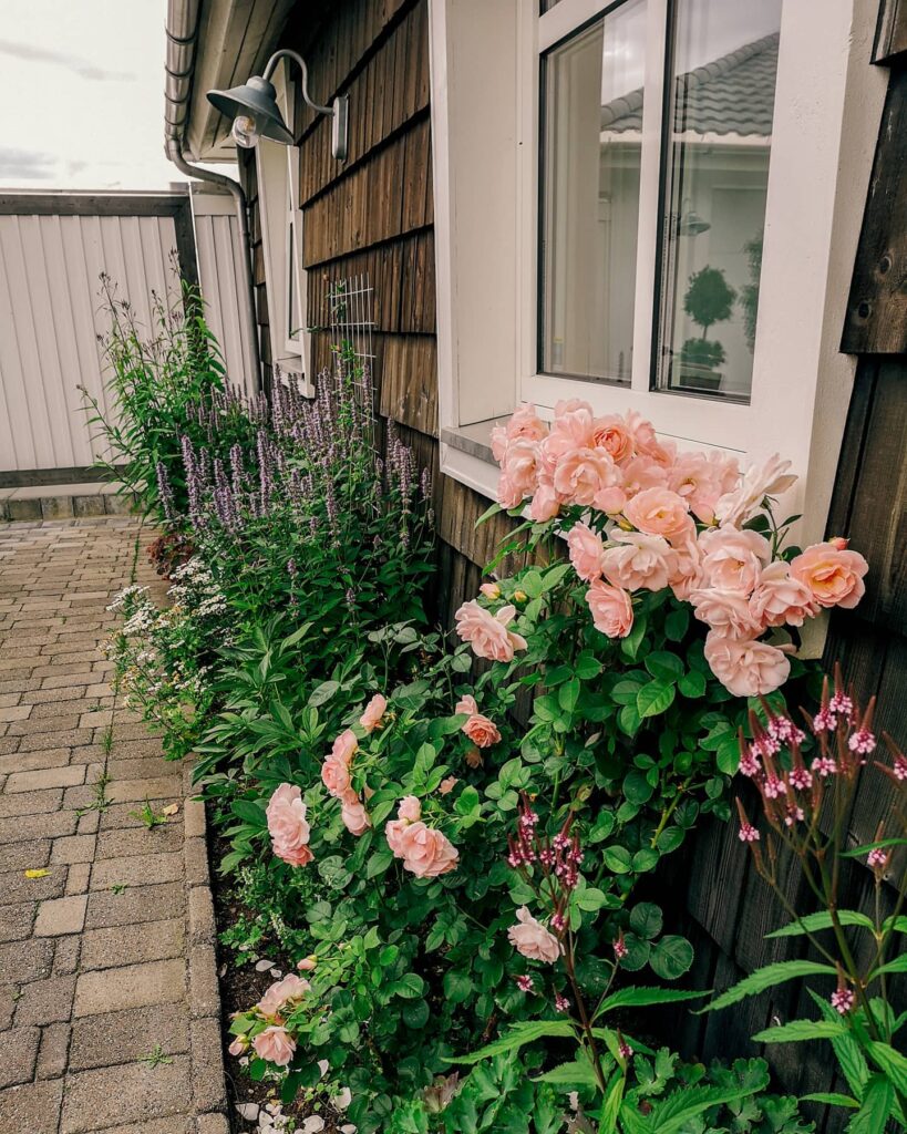 23 Flower Beds In Front Of House Ideas | TheGrow
