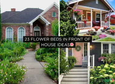 Flower Beds In Front Of House Ideas